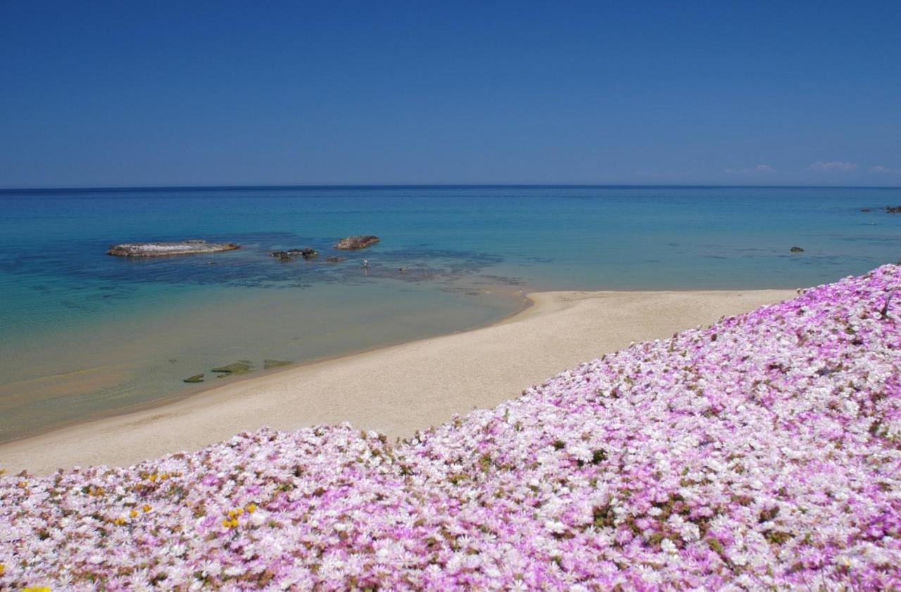 Appartamento Casa Vacanza Le Terrazze Via Parigi,23 Castelsardo Luaran gambar